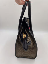 Load image into Gallery viewer, Celine Micro Luggage Tri-Color Python