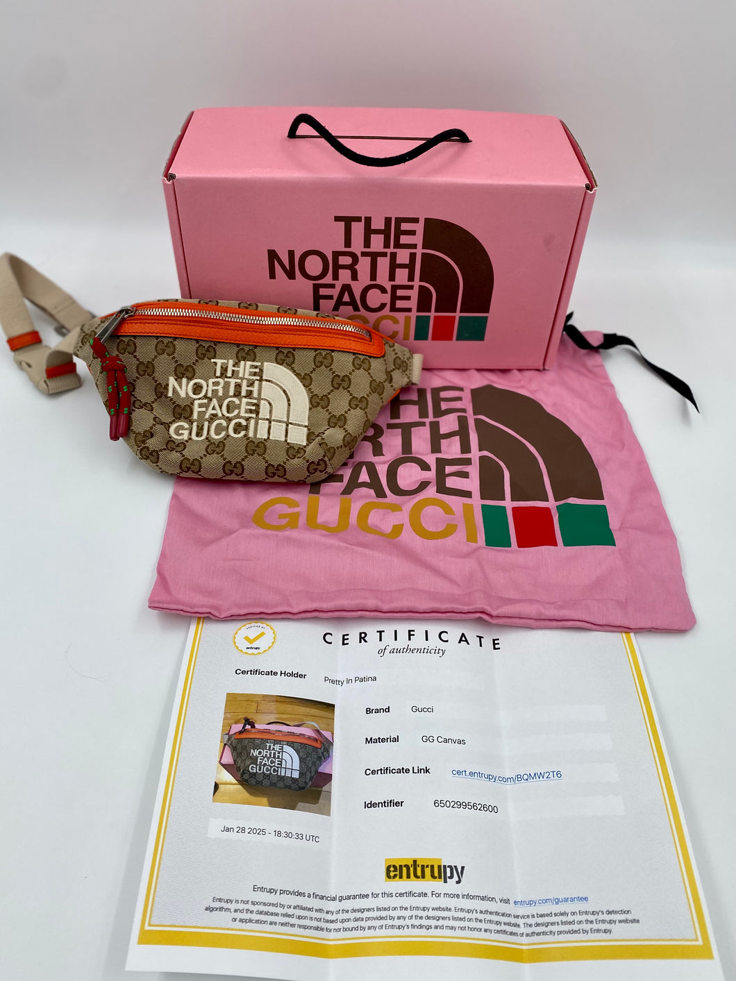 Gucci X North Face Bumbag