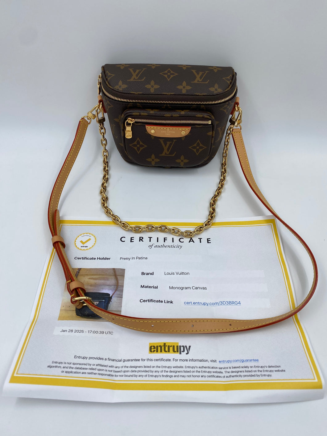 Louis Vuitton Monogram Mini Bumbag