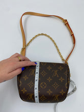 Load image into Gallery viewer, Louis Vuitton Monogram Mini Bumbag
