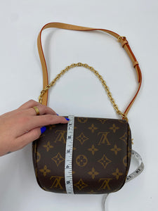 Louis Vuitton Monogram Mini Bumbag