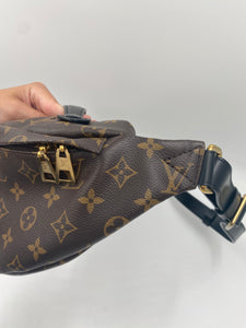 Louis Vuitton Monogram Bum Bag